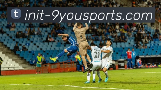 九游体育平台生态图